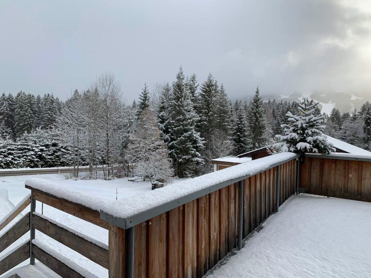 Haus Harmony Βίλα Ramsau am Dachstein Εξωτερικό φωτογραφία