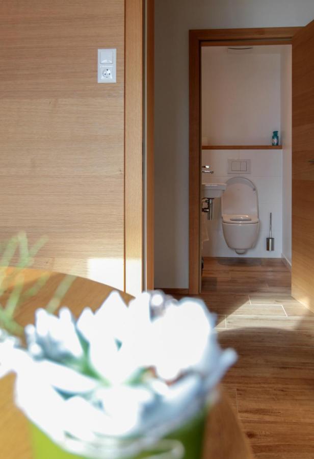 Haus Harmony Βίλα Ramsau am Dachstein Εξωτερικό φωτογραφία