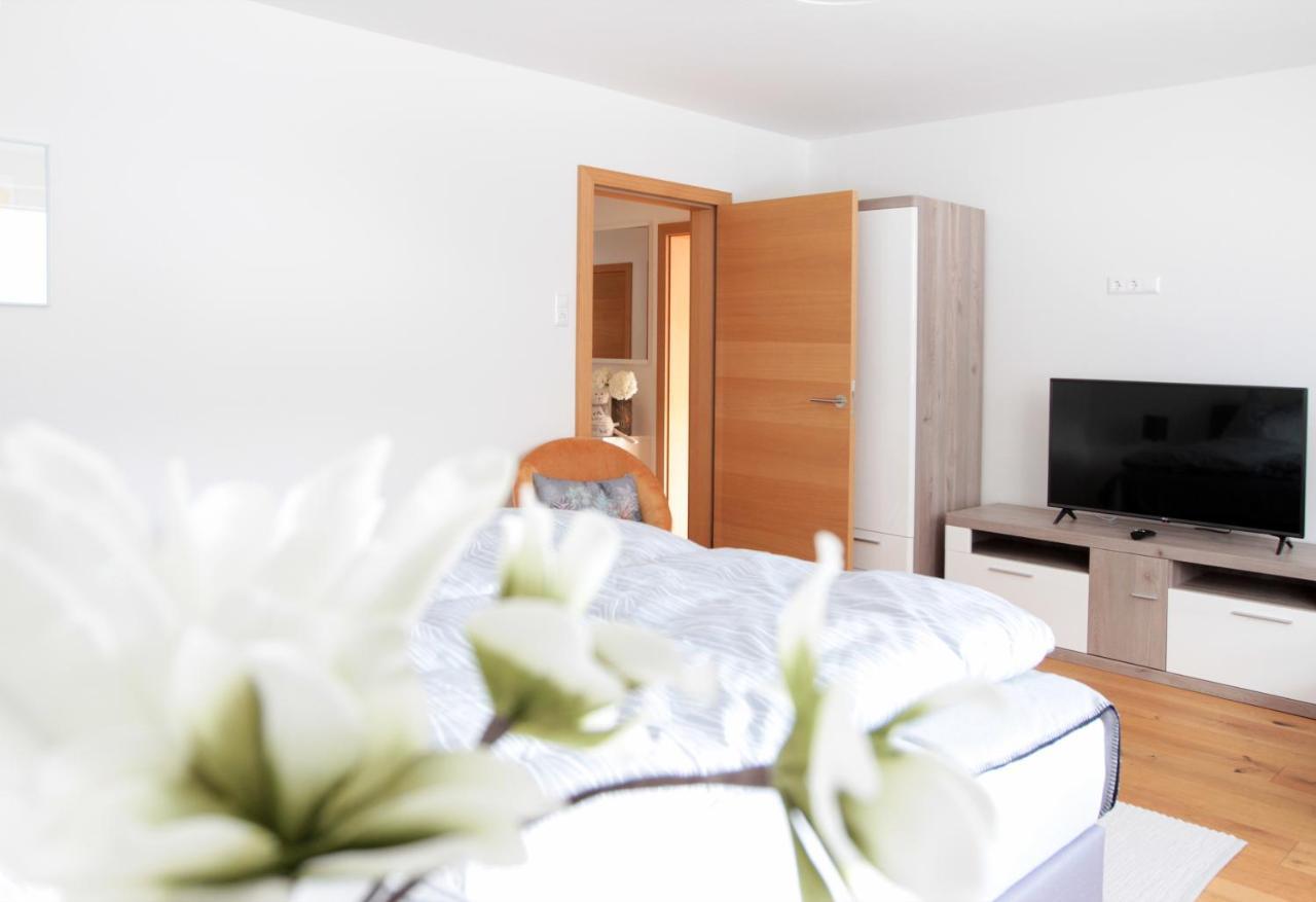 Haus Harmony Βίλα Ramsau am Dachstein Εξωτερικό φωτογραφία