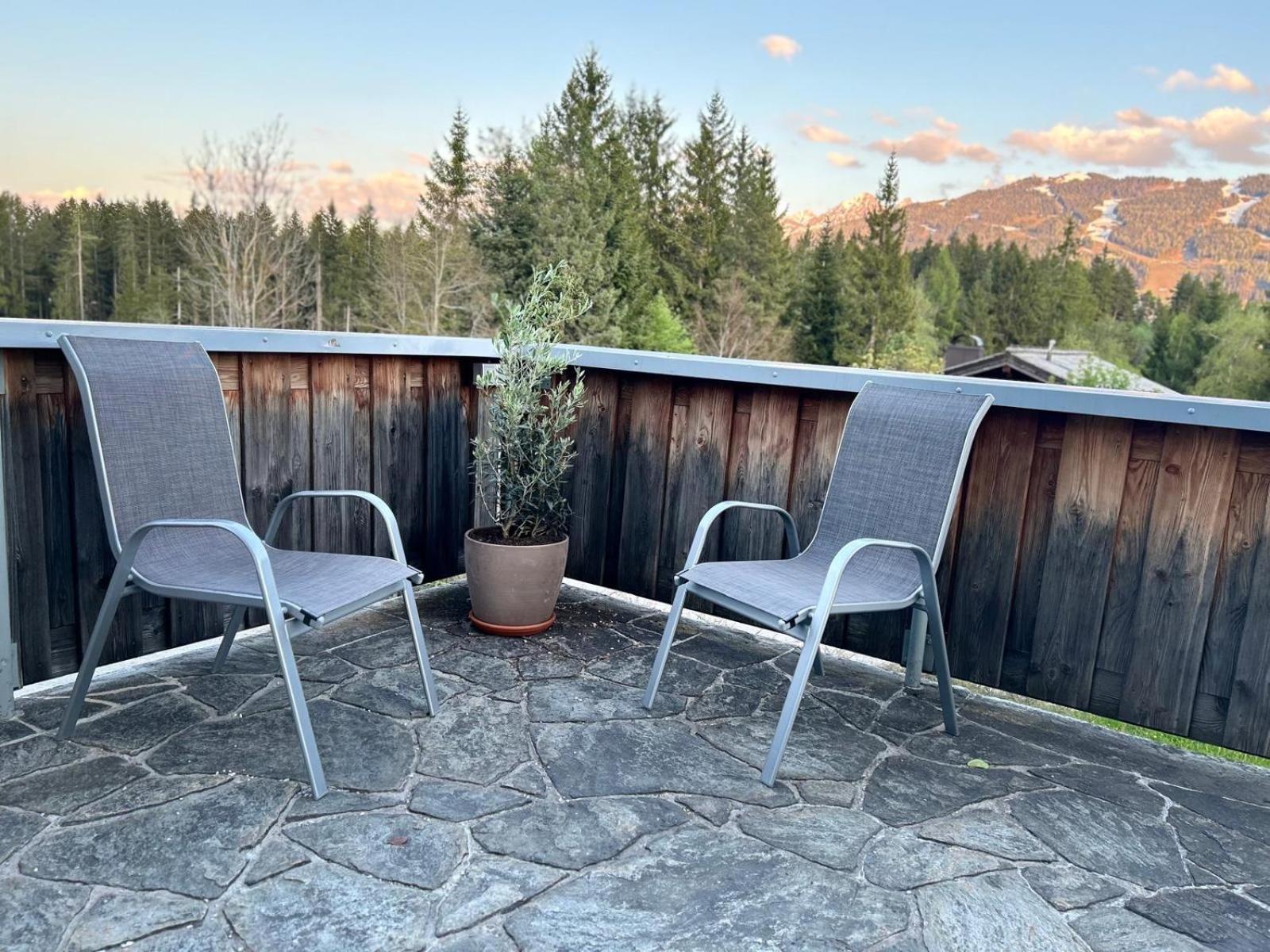 Haus Harmony Βίλα Ramsau am Dachstein Εξωτερικό φωτογραφία